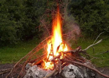 다차에서 모닥불 피우면 벌금 부과