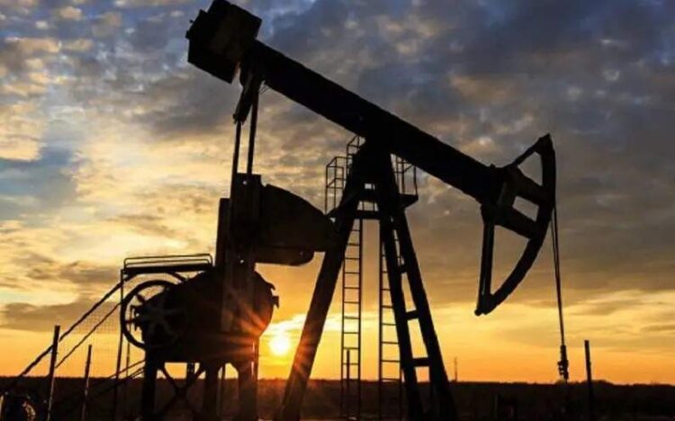 대체 텍스트 입니다.