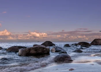 “카스피해, 독성 웅덩이로 전락할 위험”