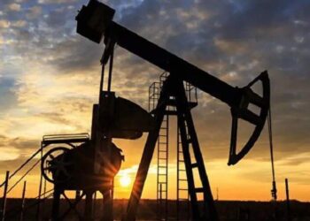 대체 텍스트 입니다.