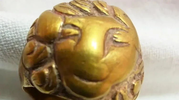 알마티주에서 사카 시대 금반지 출토… 카자흐스탄 고고학계 주목