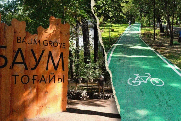 바움숲, 보호냐 개발이냐… 알마티 ‘허파’를 둘러싼 논란