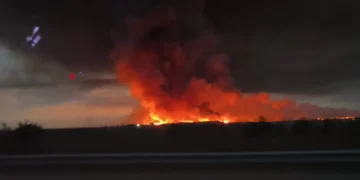 알마티 악취 논란 확산… 환경당국 “기준치 초과는 없어” 해명에도 시민 불안 지속