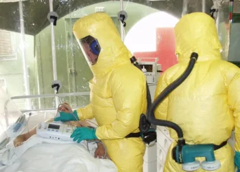 WHO, 멜리오이드증으로 수백 명 사망 확인… 동남아·아프리카서 확산 우려