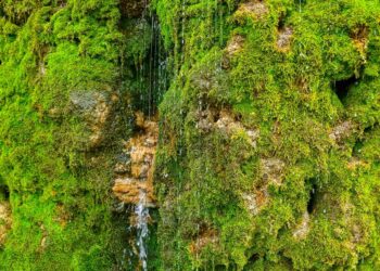 카자흐스탄의 신비로운 명소 ‘대지의 눈물’