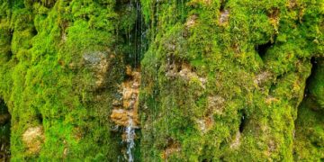 카자흐스탄의 신비로운 명소 ‘대지의 눈물’