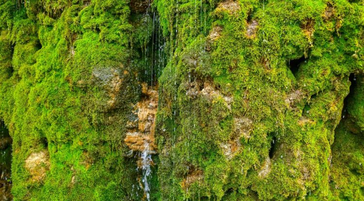 카자흐스탄의 신비로운 명소 ‘대지의 눈물’