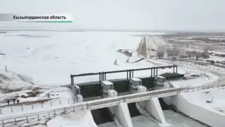 아랄해, 되살아나는 생명의 바다