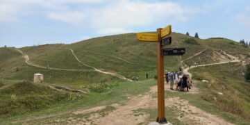 알마티 콕자일라우 도로 건설, 새로운 세부 내용 공개