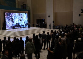 생태와 기술의 얽힘을 감각하다… 주카자흐스탄 한국문화원, 황선정 미디어아트 개인전 《Planetary Weaving》 개막