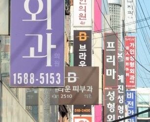 (작성 중 2026/06/06) 외모는 왜 사람의 가치를 결정하는 기준이 되었을까