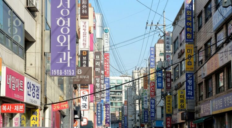 [기획연재 / 청년의 시선] 외모는 왜 사람의 가치를 결정하는 기준이 되었을까